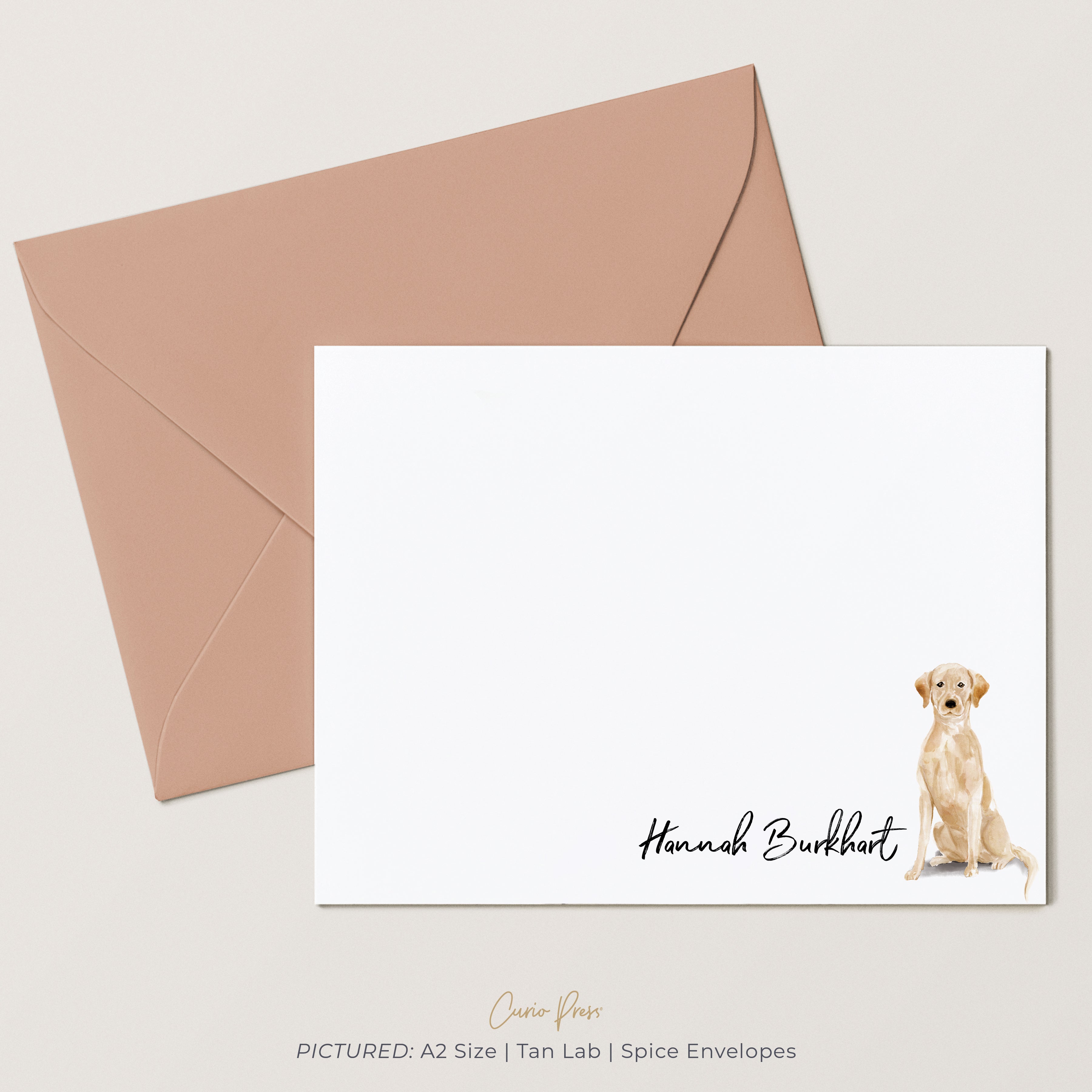 Fila Brasileiro - Set of 10 Dog Note Cards With Envelopes