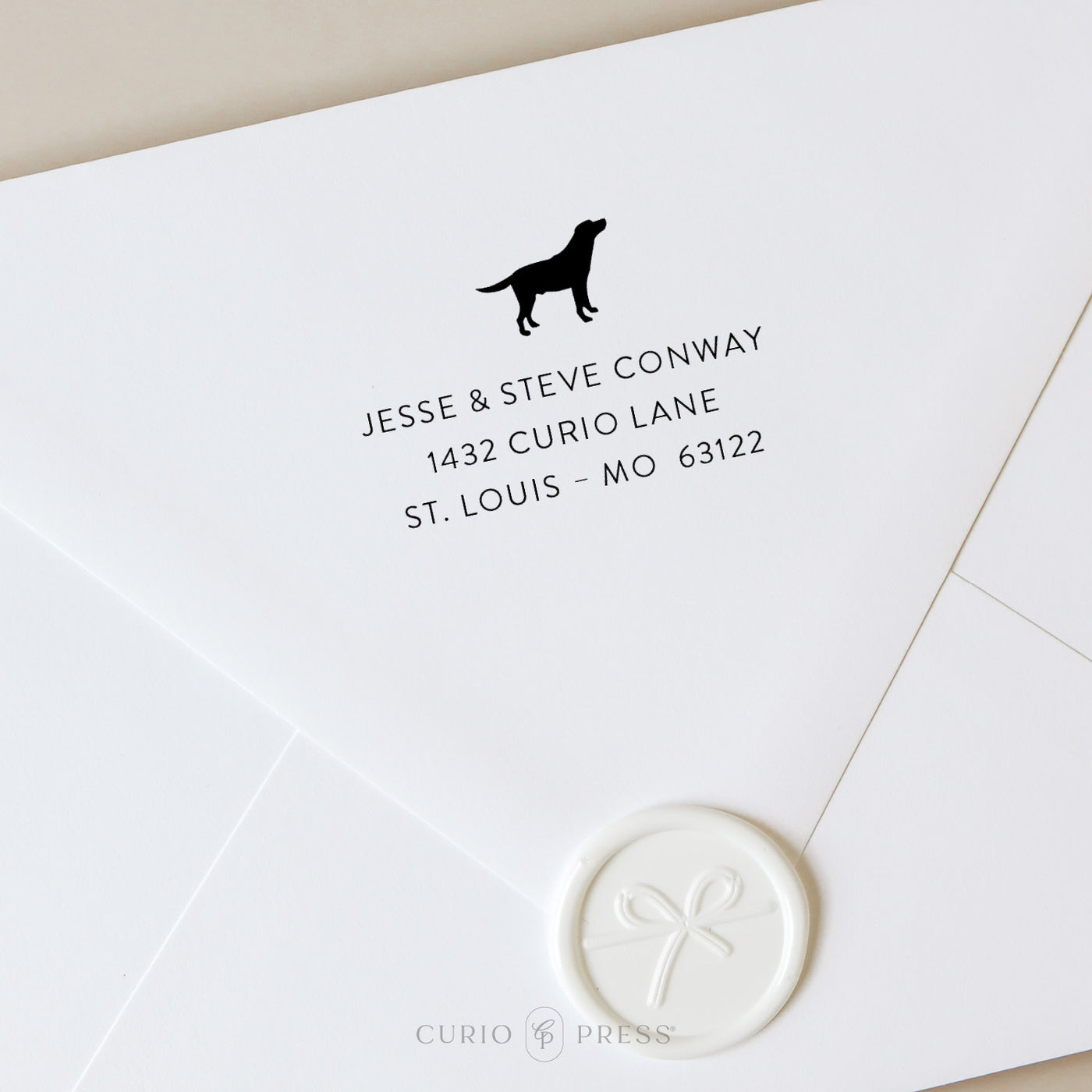 Custom address stamp with Labrador Retriever silhouette and modern printed name and address, stamped on envelope