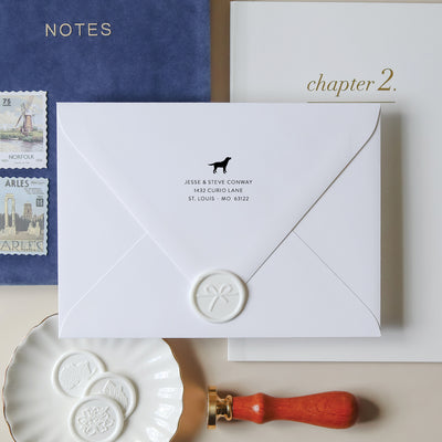 White envelope with a custom address stamp, wax seal, and stamps on a neutral styled background