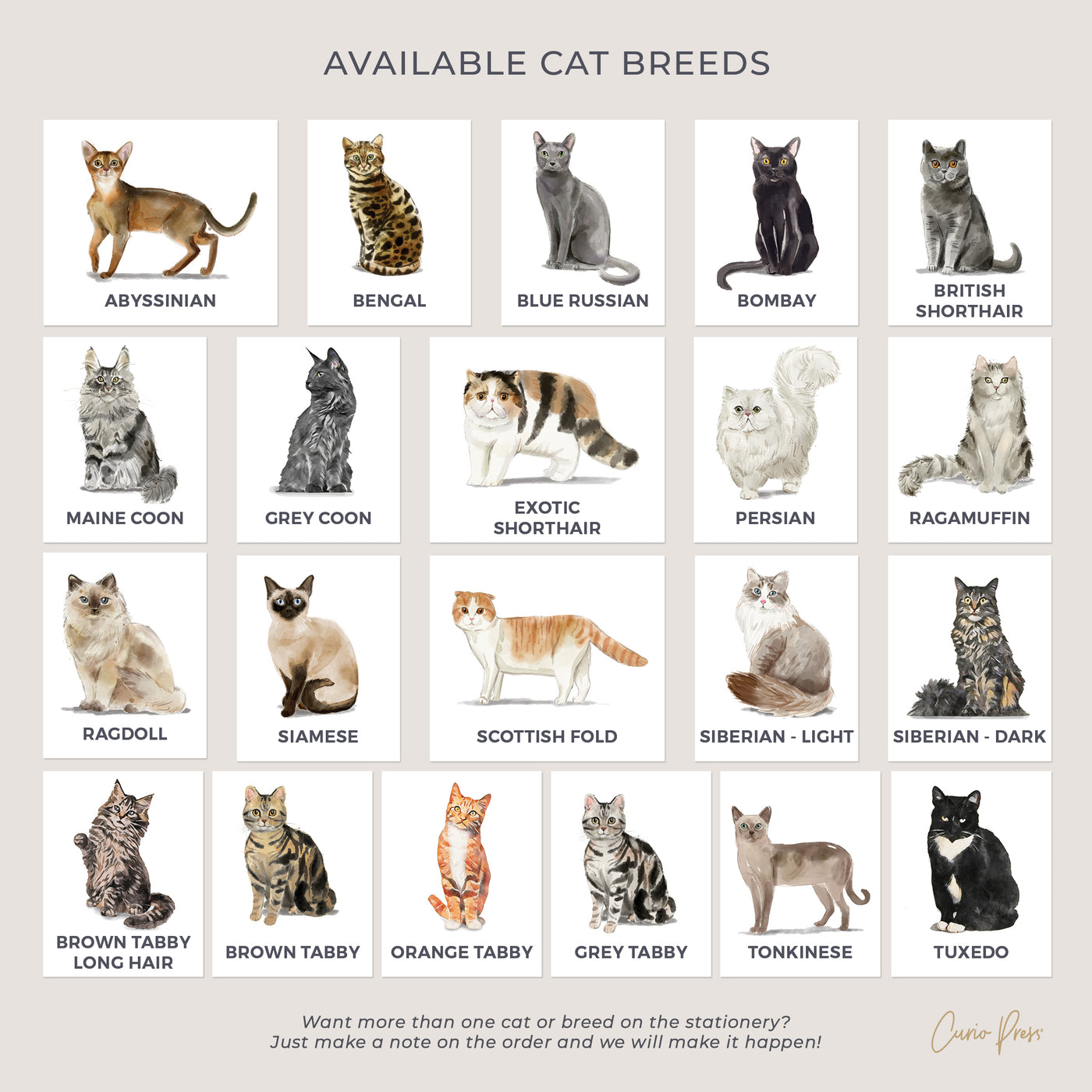 Cats: Flat Card Set
